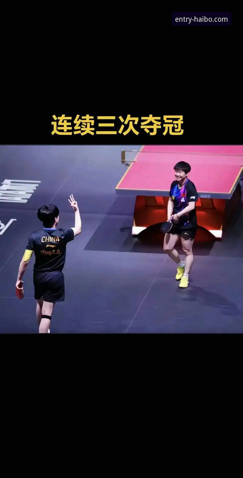 国乒男团世锦赛三战全胜，海博体育平台用户怎么看这场技术博弈？